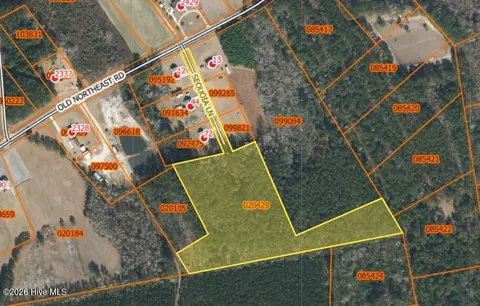 13 Sequoia Ln, Lake Waccamaw, NC 28450