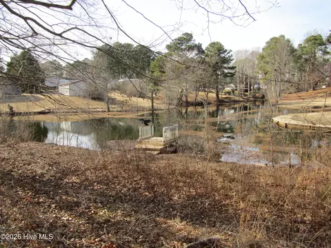 117 Vincent Dr, Windsor, NC 27983 photo 30