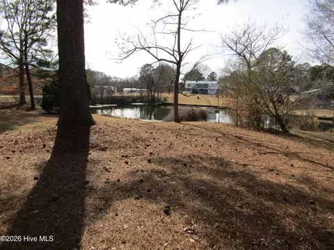 117 Vincent Dr, Windsor, NC 27983 photo 27