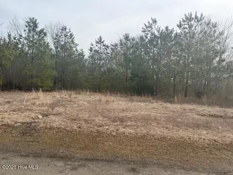 tbd Carter St, Woodland, NC 27897