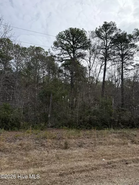 1567 Driftwood Dr SW, Ocean Isle Beach, NC 28469