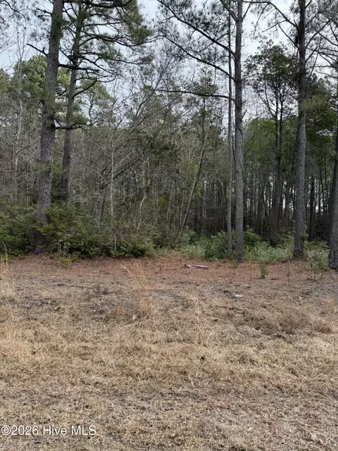 1569 Driftwood Dr SW, Ocean Isle Beach, NC 28469