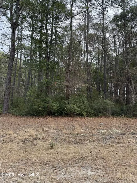 1571 Driftwood Dr SW, Ocean Isle Beach, NC 28469