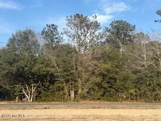 120 Rough Horn Rd, Evergreen, NC 28438