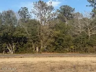 tbd Tbd Rough Horn Rd, Evergreen, NC 28438