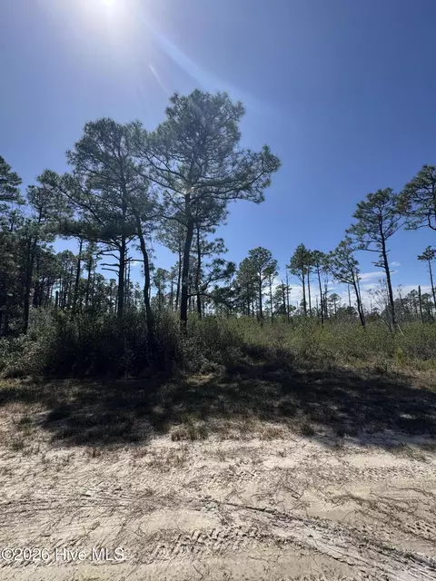 lot489 Craven St, Boiling Spring Lakes, NC 28461