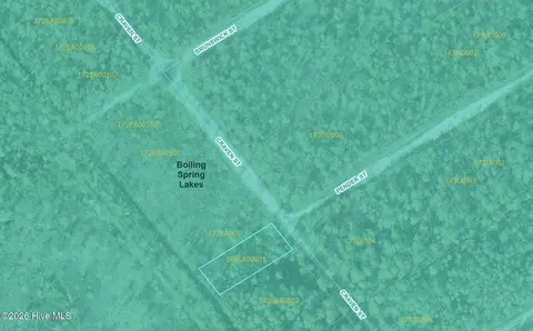 lot490 Craven St, Boiling Spring Lakes, NC 28461