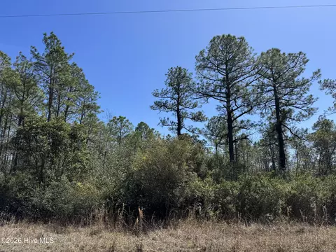 lot21 New Hanover Rd, Boiling Spring Lakes, NC 28461