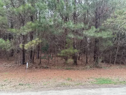 51 Gores Drive, Clarendon, NC 28432