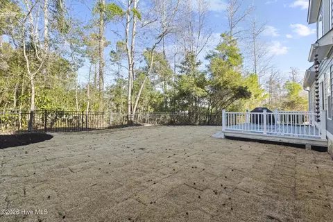 378 Aster Pl, Hampstead, NC 28443 photo 50