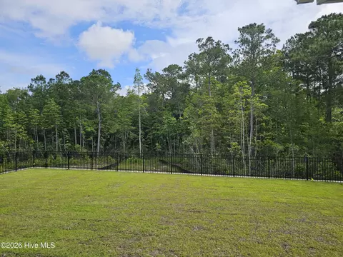 Exterior - 536 Glitter Bay Loop, Shallotte, NC 28470 photo 3 of 3
