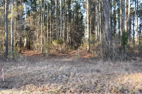 97 Mcgowan Rd, Bath, NC 27808 photo 2