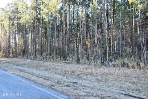 97 Mcgowan Rd, Bath, NC 27808 photo 4
