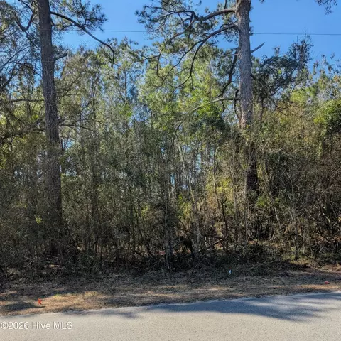 437 Colony Ln SE, Leland, NC 28451