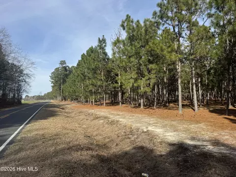 0 Butler Mill Rd, Bladenboro, NC 28320