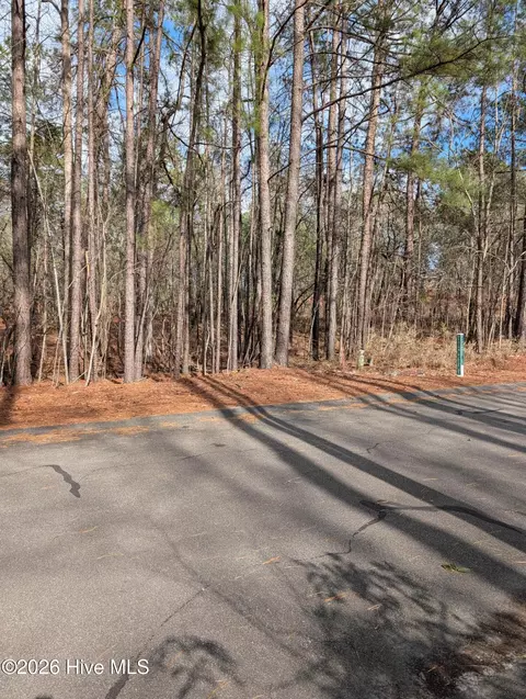 102 Bancroft Ct, West End, NC 27376