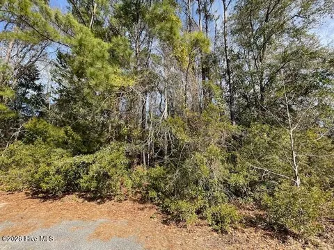 38 Lot Cedar Find Cv, Wilmington, NC 28411