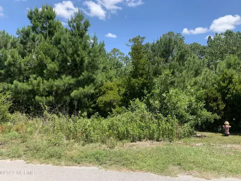 276 E Ivybridge Dr, Hubert, NC 28539 photo 6