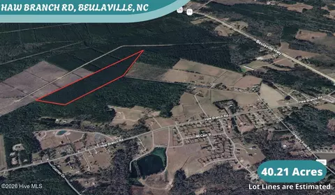40 Acres Haw Branch Rd, Beulaville, NC 28518