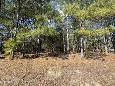 tbd Mizpah Rd, Rockingham, NC 28379