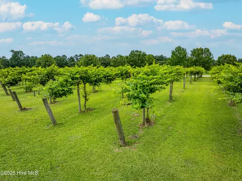 129 Cellars Way, Wallace, NC 28466 photo 16