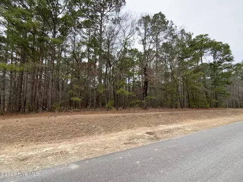 101 Long Leaf Ln, Goldsboro, NC 27534