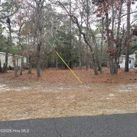 3317 Marlin Dr, Bolivia, NC 28422