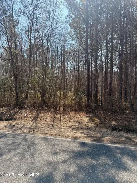 2 Tuggie Eure Rd, Eure, NC 27935 photo 5