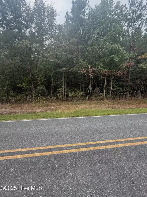 2 Tuggie Eure Rd, Eure, NC 27935 photo 2