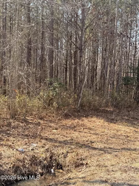 2 Tuggie Eure Rd, Eure, NC 27935 photo 4
