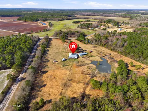 View/Area - 335 Bull Tail Rd, Wallace, NC 28466 photo 5 of 5
