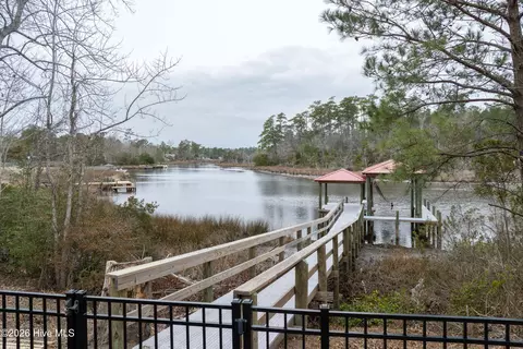 View/Area - 110 Ruby Yopp Cir, Sneads Ferry, NC 28460 photo 4 of 15