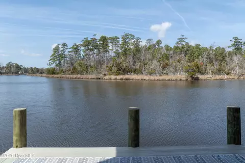 View/Area - 110 Ruby Yopp Cir, Sneads Ferry, NC 28460 photo 9 of 15