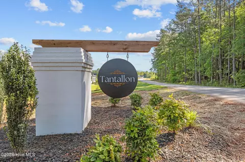 Other - 40 Stream View Way, Spring Hope, NC 27882 photo 1 of 8