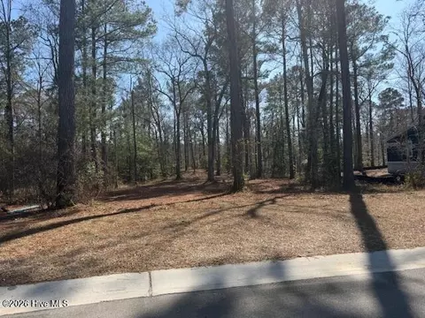 3695 River Park Way NE, Leland, NC 28451