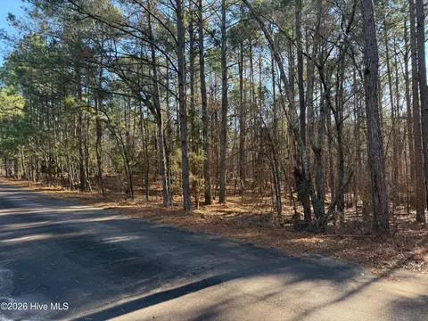 125 Millstone Ct, West End, NC 27376 photo 2