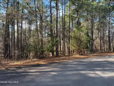 145 Millstone Ct, West End, NC 27376 photo 2