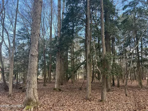 0 Bridgersville Rd, Macclesfield, NC 27852