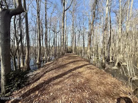 431 Icaria Rd, Tyner, NC 27980 photo 44