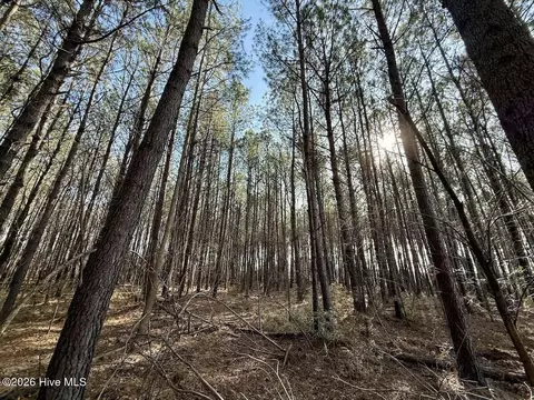 431 Icaria Rd, Tyner, NC 27980 photo 52