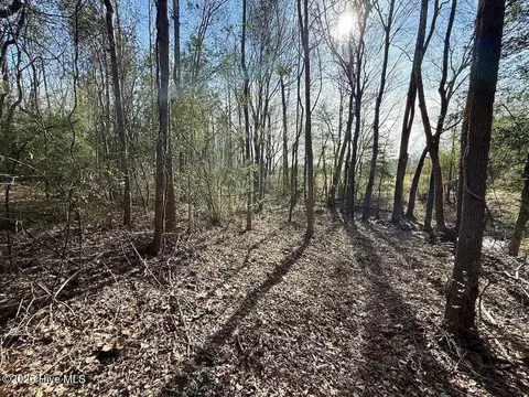 431 Icaria Rd, Tyner, NC 27980 photo 49