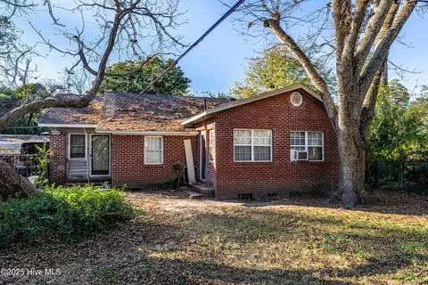 Exterior - 402 E 2nd Ave, Chadbourn, NC 28431 photo 9 of 12