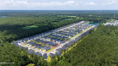View/Area - 230 Ladyfish Loop NW, Sunset Beach, NC 28468 photo 2 of 3