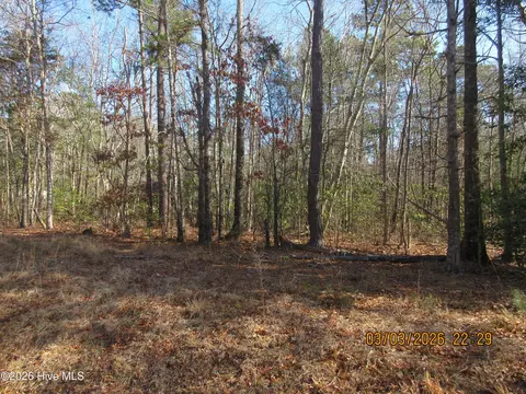 107 Dot Sears Dr, Grandy, NC 27939