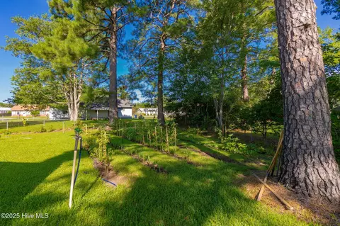 Exterior - 114 Wolfpack Ct, Havelock, NC 28532 photo 2 of 3