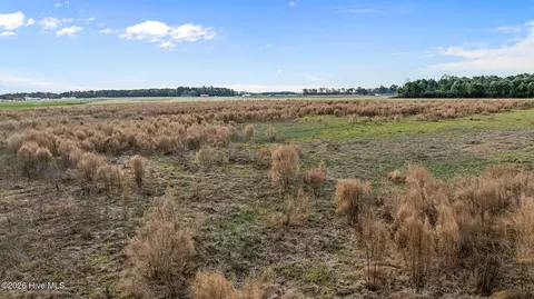 294 Waller Rd, Mount Olive, NC 28365 photo 7