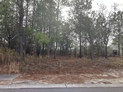 3059 Boverie St SW, Shallotte, NC 28470