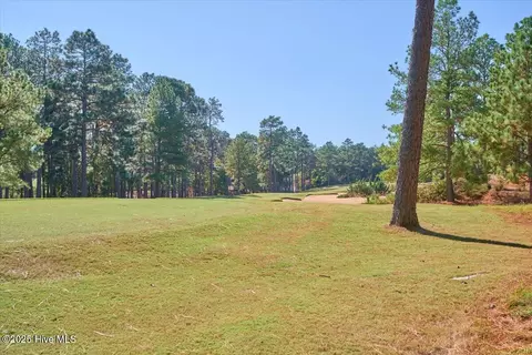 Other - 409 Meyer Farm Dr, Pinehurst, NC 28374 photo 14 of 17