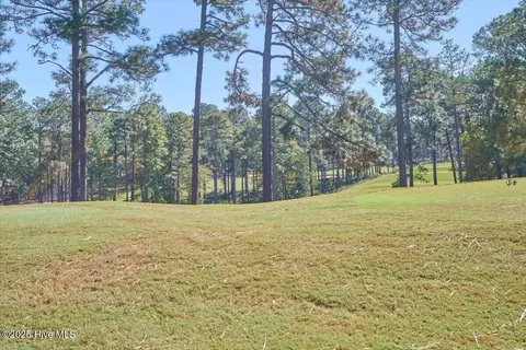 Other - 409 Meyer Farm Dr, Pinehurst, NC 28374 photo 15 of 17