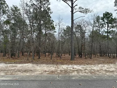 448 Isabella St SE, Bolivia, NC 28422